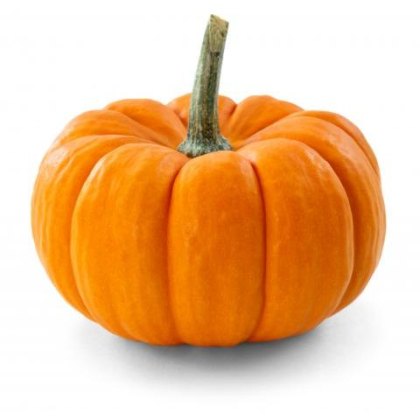 Pumpkin (made to order)