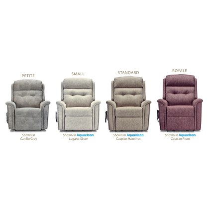 Roma Small 1-motor Electric Riser Recliner