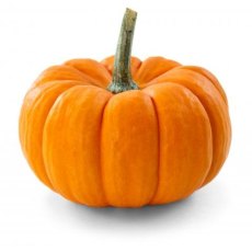 Pumpkin (made to order)