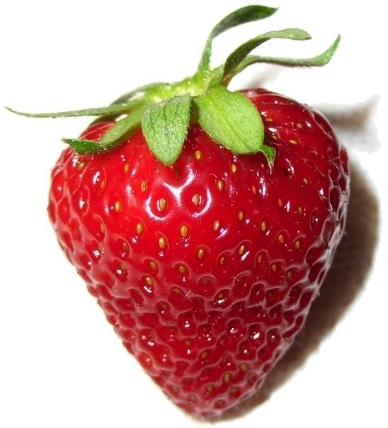 Fruity Fruits Strawberry (single variant)