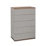 Eyton 5 Drawer Tall Wide Chest Eyton 5 Drawer Tall Wide Chest